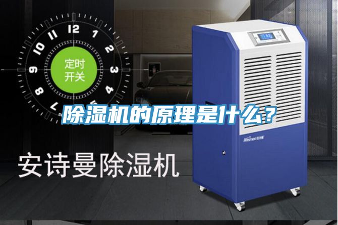 草莓污视频在线看的原理是什麽？