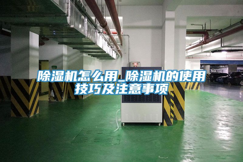 草莓污视频在线看怎麽用_草莓污视频在线看的使用技巧及注意事項