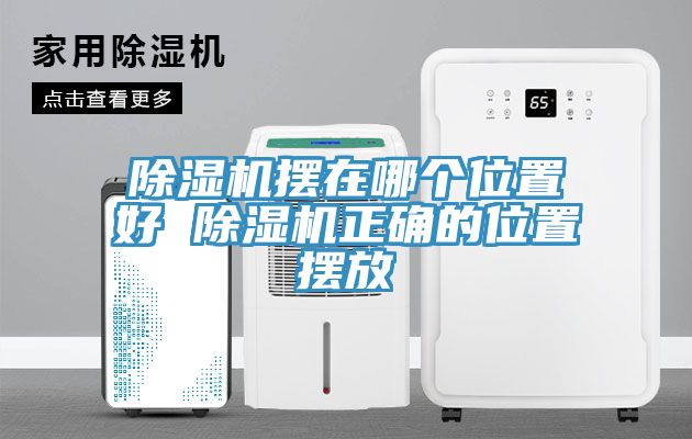 草莓污视频在线看擺在哪個位置好 草莓污视频在线看正確的位置擺放