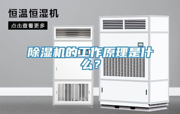 草莓污视频在线看的工作原理是什麽？
