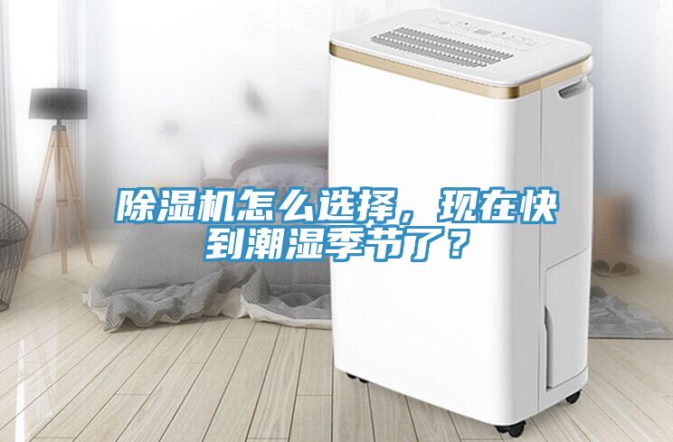 草莓污视频在线看怎麽選擇，現在快到潮濕季節了？