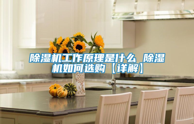 草莓污视频在线看工作原理是什麽 草莓污视频在线看如何選購【詳解】