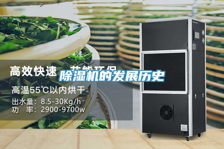 草莓污视频在线看的發展曆史