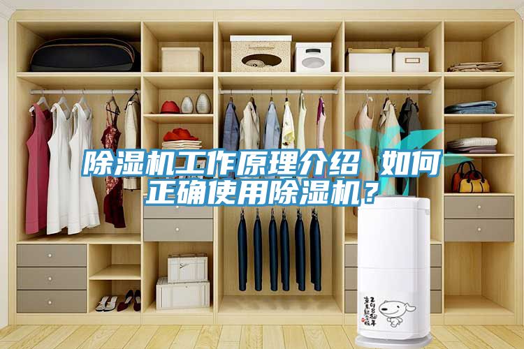 草莓污视频在线看工作原理介紹 如何正確使用草莓污视频在线看？