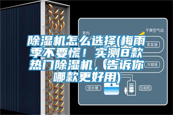 草莓污视频在线看怎麽選擇(梅雨季不要慌！實測8款熱門草莓污视频在线看，告訴你哪款更好用)