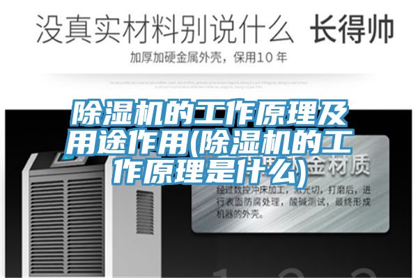 草莓污视频在线看的工作原理及用途作用(草莓污视频在线看的工作原理是什麽)