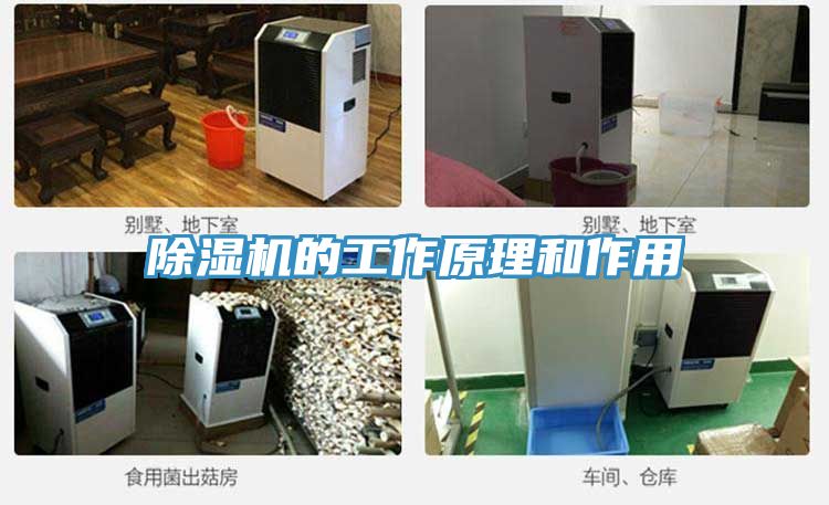 草莓污视频在线看的工作原理和作用