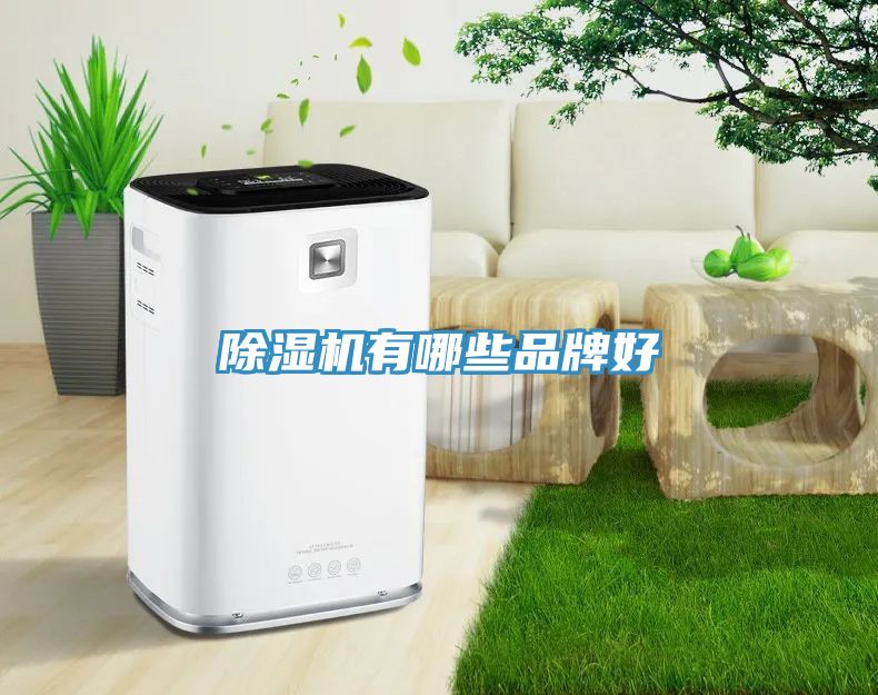 草莓污视频在线看有哪些品牌好