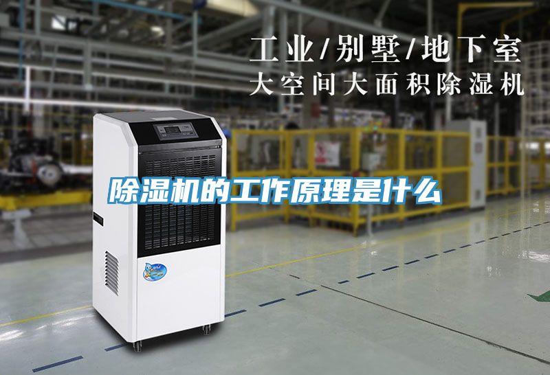 草莓污视频在线看的工作原理是什麽