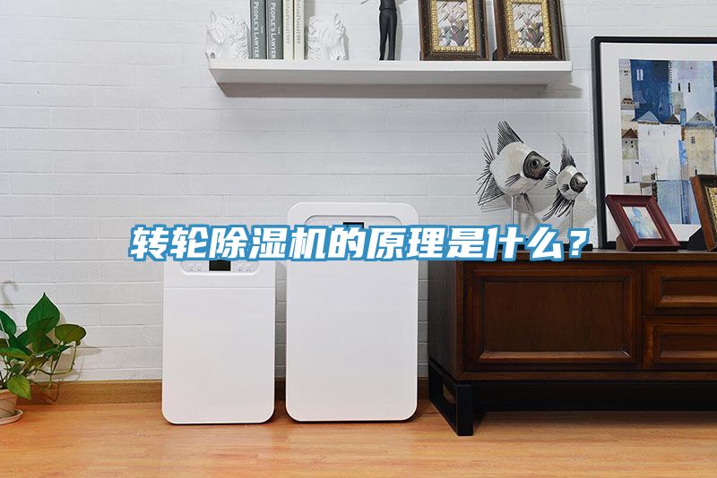 轉輪草莓污视频在线看的原理是什麽？