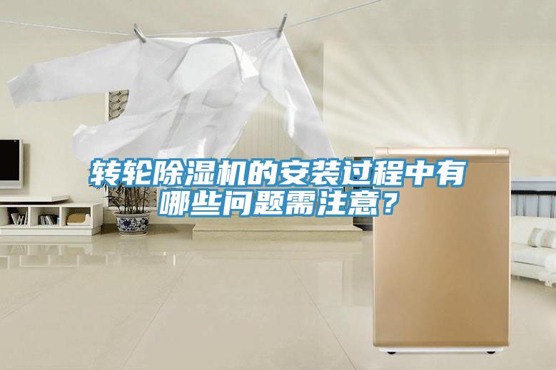 轉輪草莓污视频在线看的安裝過程中有哪些問題需注意？