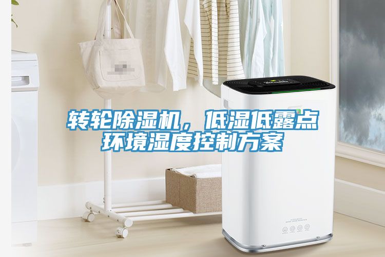 轉輪草莓污视频在线看，低濕低露點環境濕度控製方案
