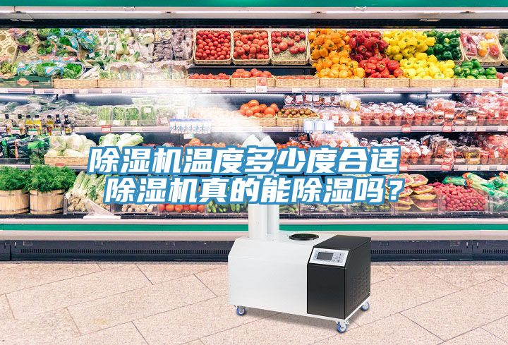 草莓污视频在线看溫度多少度合適 草莓污视频在线看真的能除濕嗎？