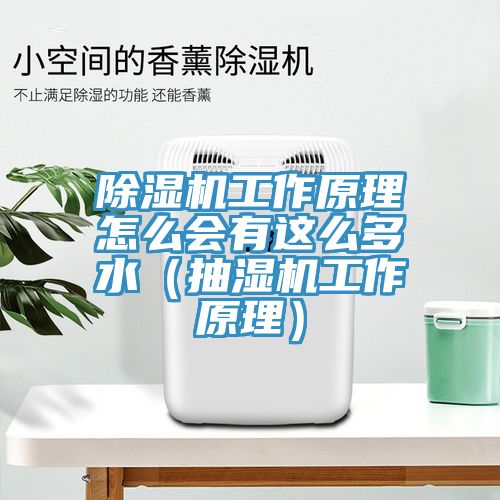草莓污视频在线看工作原理怎麽會有這麽多水（抽濕機工作原理）