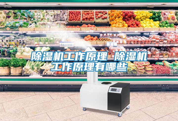 草莓污视频在线看工作原理 草莓污视频在线看工作原理有哪些