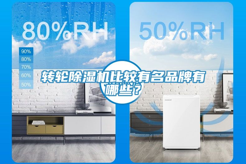 轉輪草莓污视频在线看比較有名品牌有哪些？
